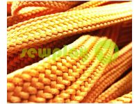 Cord braided flat 10mm, color beige